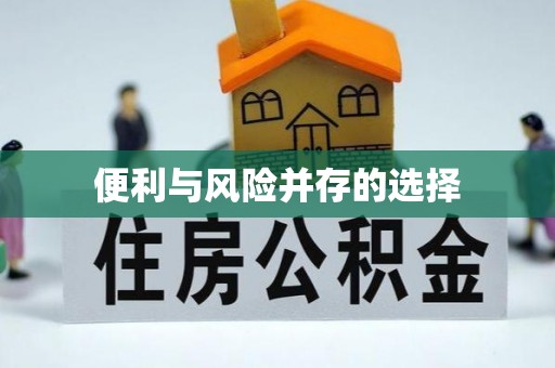 冕宁便利与风险并存的选择