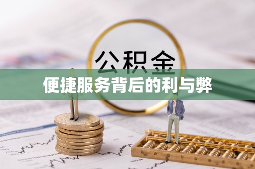 冕宁便捷服务背后的利与弊