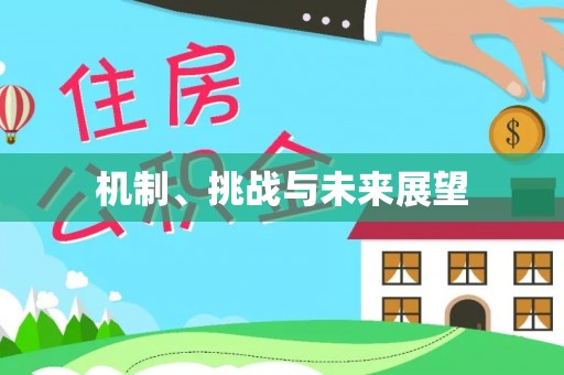 冕宁机制、挑战与未来展望